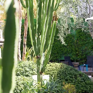 Mercure Centre Notre Dame Hotell Nice